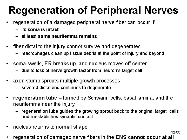 Regeneration of Peripheral Nerves • regeneration of a damaged peripheral nerve fiber can occur