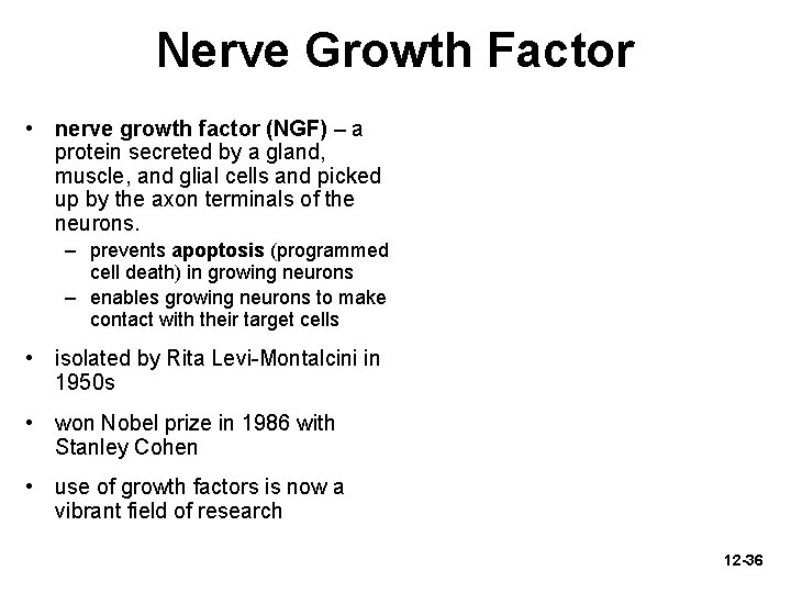 Nerve Growth Factor • nerve growth factor (NGF) – a protein secreted by a