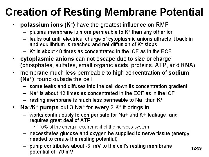 Creation of Resting Membrane Potential • potassium ions (K+) have the greatest influence on