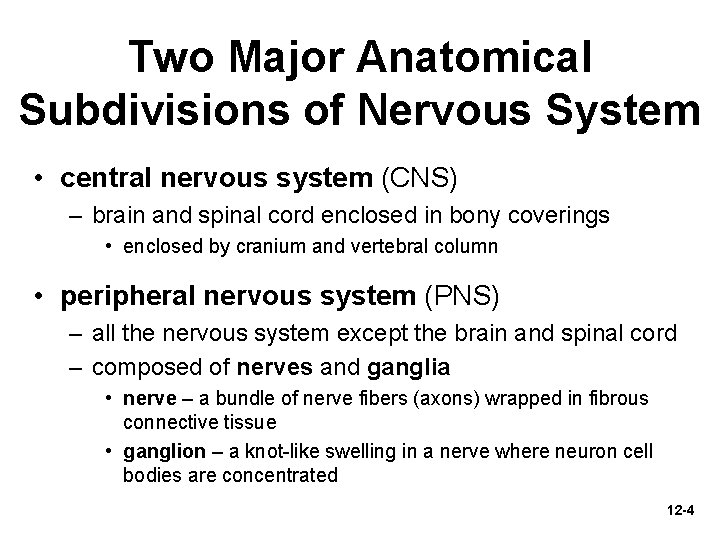 Two Major Anatomical Subdivisions of Nervous System • central nervous system (CNS) – brain