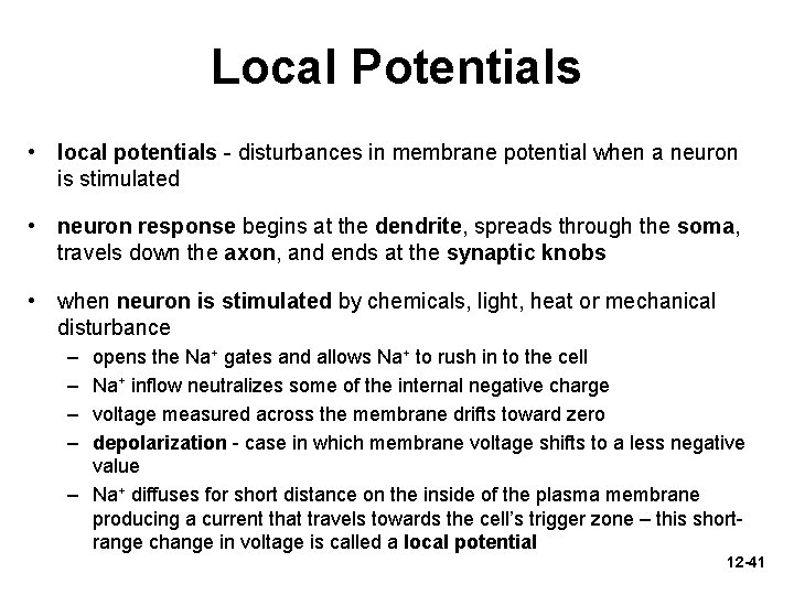 Local Potentials • local potentials - disturbances in membrane potential when a neuron is