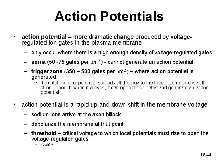 Action Potentials • action potential – more dramatic change produced by voltageregulated ion gates