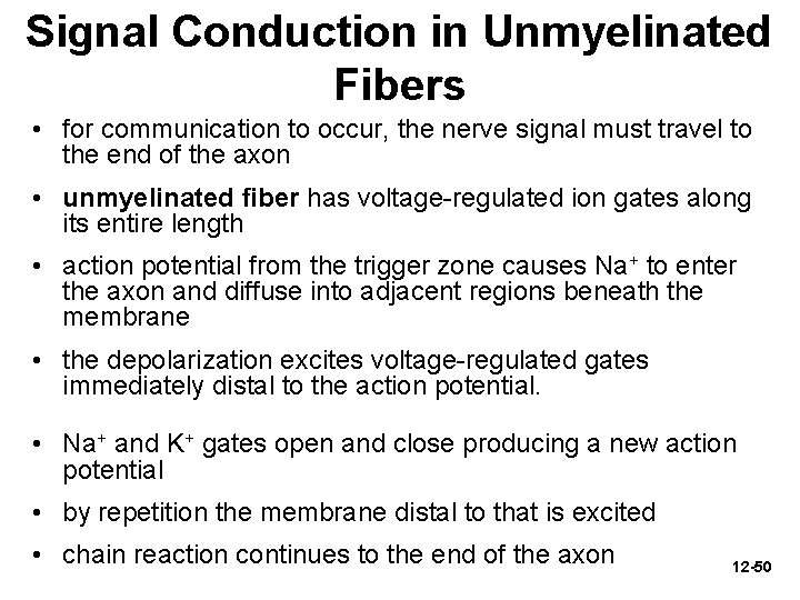 Signal Conduction in Unmyelinated Fibers • for communication to occur, the nerve signal must