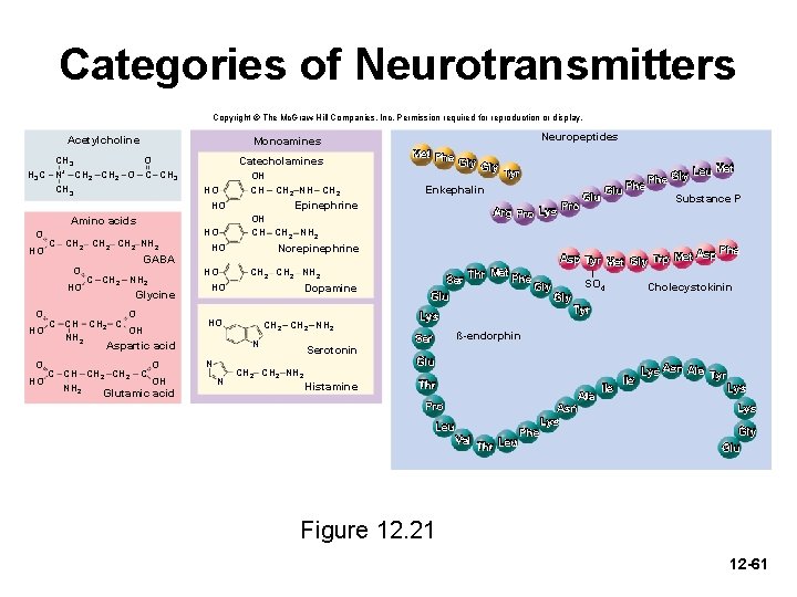 Categories of Neurotransmitters Copyright © The Mc. Graw-Hill Companies, Inc. Permission required for reproduction