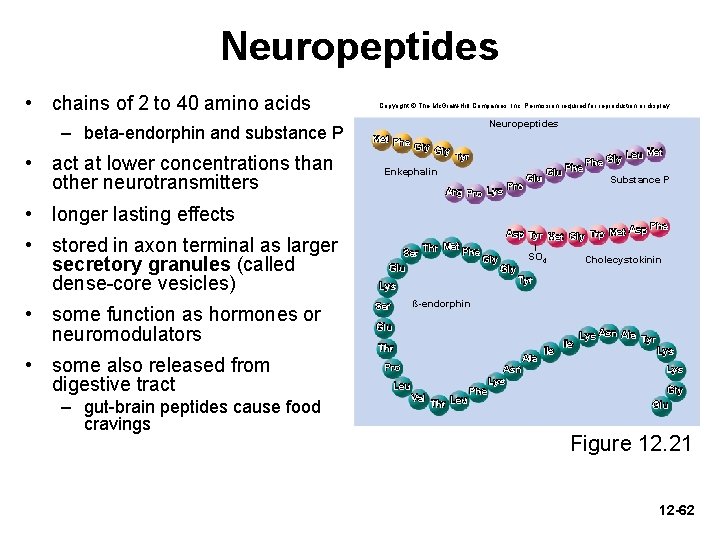 Neuropeptides • chains of 2 to 40 amino acids – beta-endorphin and substance P