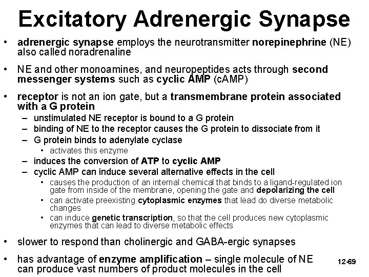 Excitatory Adrenergic Synapse • adrenergic synapse employs the neurotransmitter norepinephrine (NE) also called noradrenaline