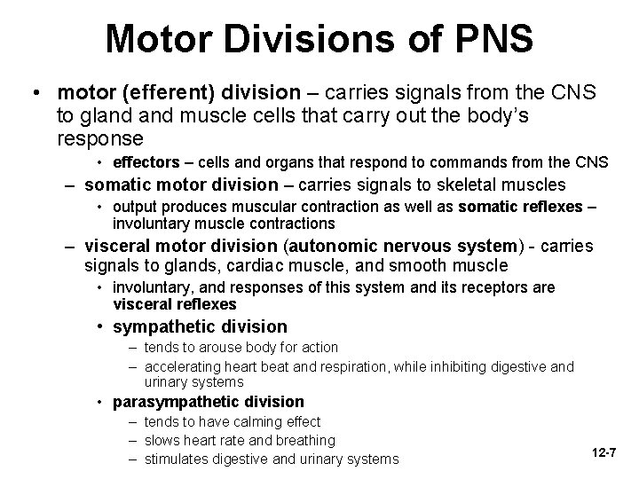 Motor Divisions of PNS • motor (efferent) division – carries signals from the CNS
