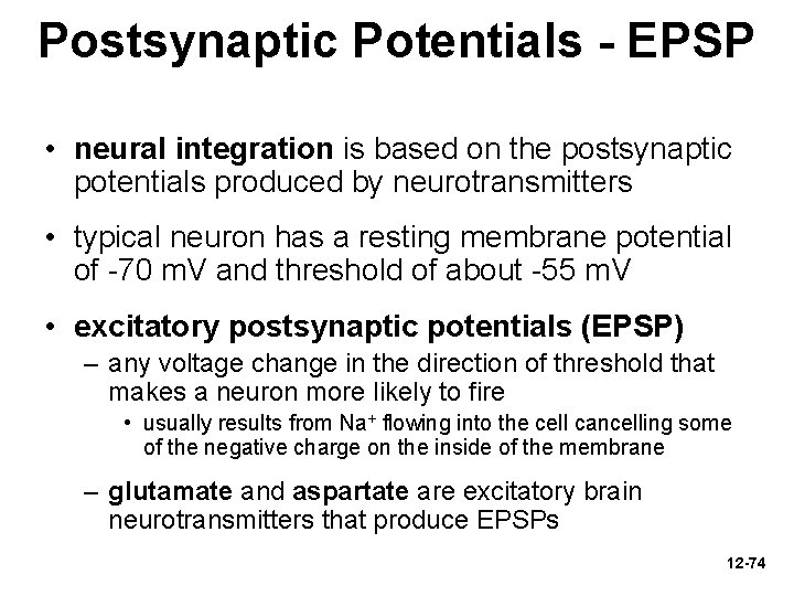 Postsynaptic Potentials - EPSP • neural integration is based on the postsynaptic potentials produced