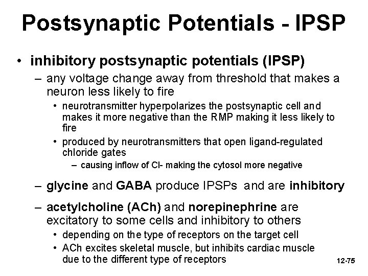 Postsynaptic Potentials - IPSP • inhibitory postsynaptic potentials (IPSP) – any voltage change away