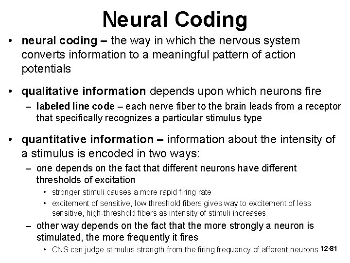 Neural Coding • neural coding – the way in which the nervous system converts