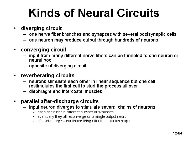 Kinds of Neural Circuits • diverging circuit – one nerve fiber branches and synapses