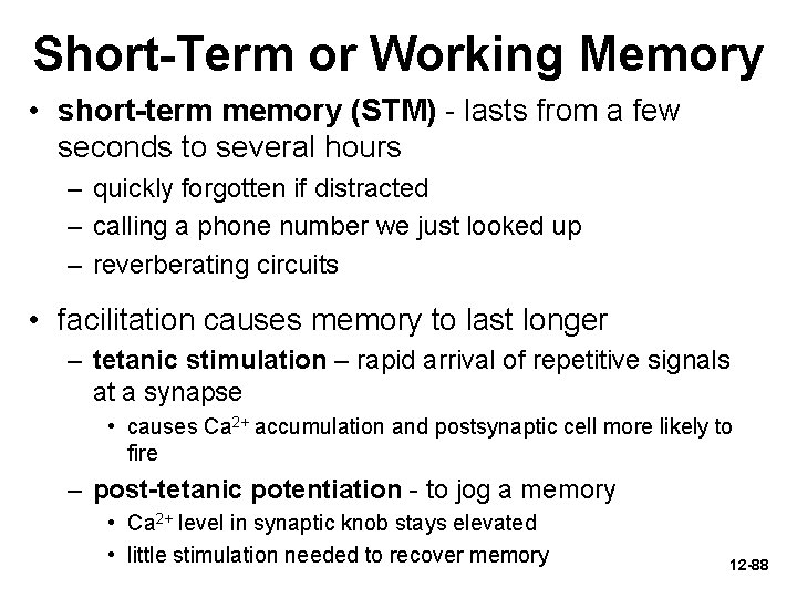 Short-Term or Working Memory • short-term memory (STM) - lasts from a few seconds