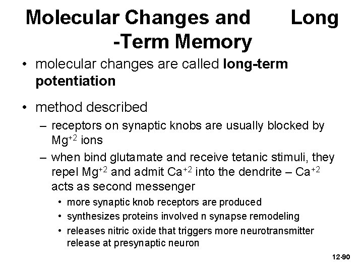 Molecular Changes and -Term Memory Long • molecular changes are called long-term potentiation •