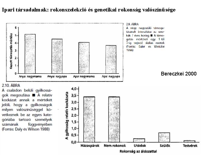 Ipari társadalmak: rokonszelekció és genetikai rokonság valószínűsége Bereczkei 2000 