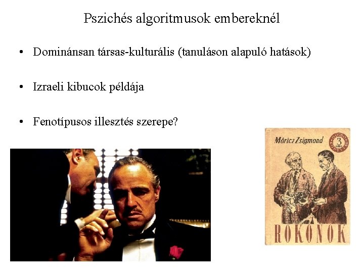 Pszichés algoritmusok embereknél • Dominánsan társas-kulturális (tanuláson alapuló hatások) • Izraeli kibucok példája •