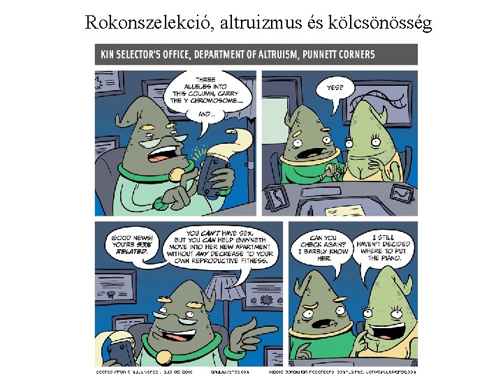 Rokonszelekció, altruizmus és kölcsönösség 