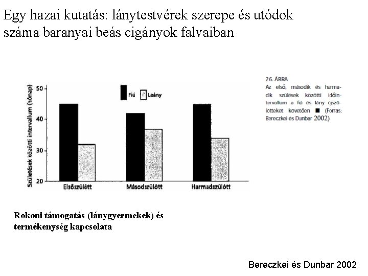 Egy hazai kutatás: lánytestvérek szerepe és utódok száma baranyai beás cigányok falvaiban Rokoni támogatás