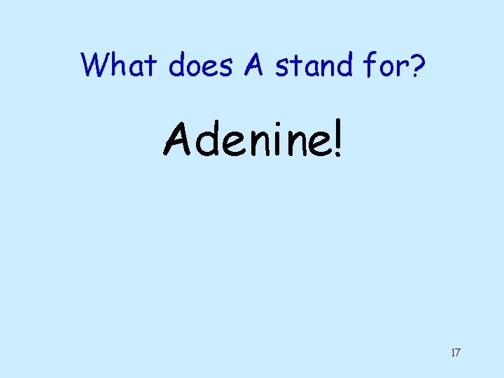 What does A stand for? Adenine! 17 What does A stand for? Adenine! 17