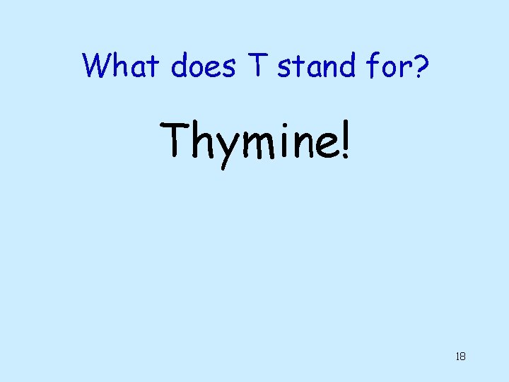 What does T stand for? Thymine! 18 What does T stand for? Thymine! 18