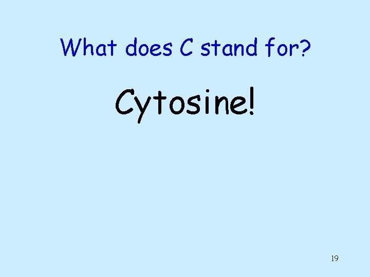 What does C stand for? Cytosine! 19 What does C stand for? Cytosine! 19