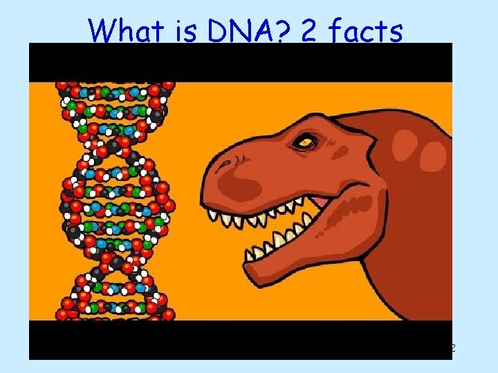 What is DNA? 2 facts 2 What is DNA? 2 facts 2