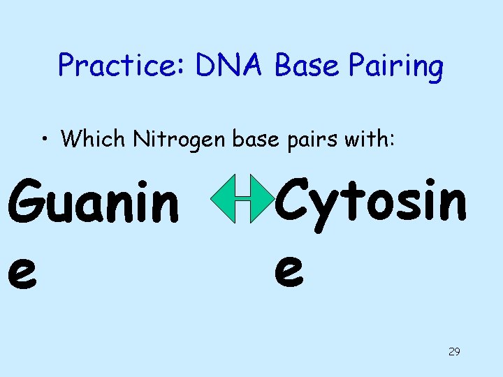 Practice: DNA Base Pairing • Which Nitrogen base pairs with: Guanin e Cytosin e Practice: DNA Base Pairing • Which Nitrogen base pairs with: Guanin e Cytosin e