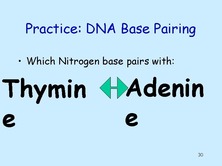 Practice: DNA Base Pairing • Which Nitrogen base pairs with: Thymin e Adenin e Practice: DNA Base Pairing • Which Nitrogen base pairs with: Thymin e Adenin e