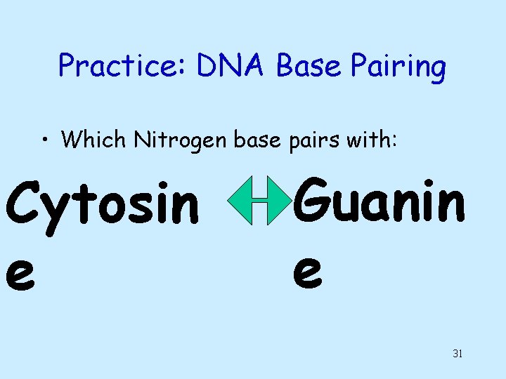 Practice: DNA Base Pairing • Which Nitrogen base pairs with: Cytosin e Guanin e Practice: DNA Base Pairing • Which Nitrogen base pairs with: Cytosin e Guanin e