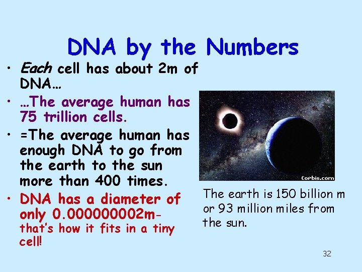 DNA by the Numbers • Each cell has about 2 m of DNA… • DNA by the Numbers • Each cell has about 2 m of DNA… •