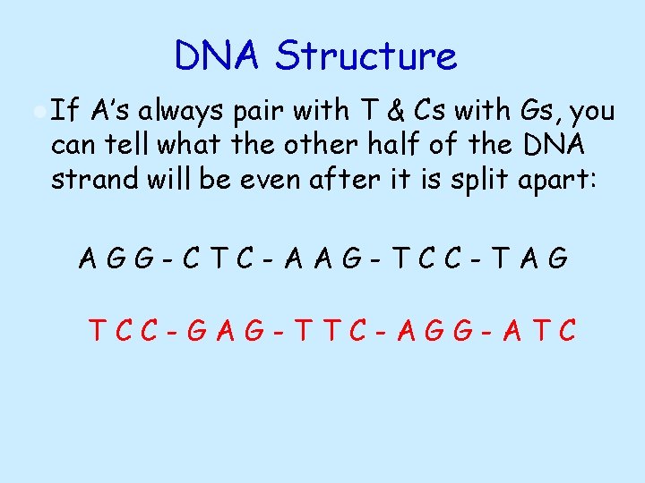 DNA Structure ● If A’s always pair with T & Cs with Gs, you DNA Structure ● If A’s always pair with T & Cs with Gs, you