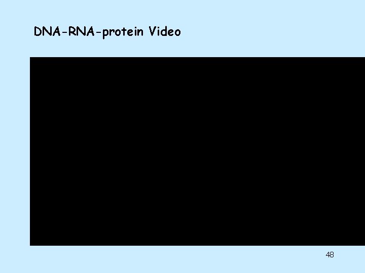 DNA-RNA-protein Video 48 DNA-RNA-protein Video 48