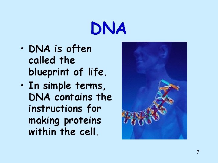 DNA • DNA is often called the blueprint of life. • In simple terms, DNA • DNA is often called the blueprint of life. • In simple terms,