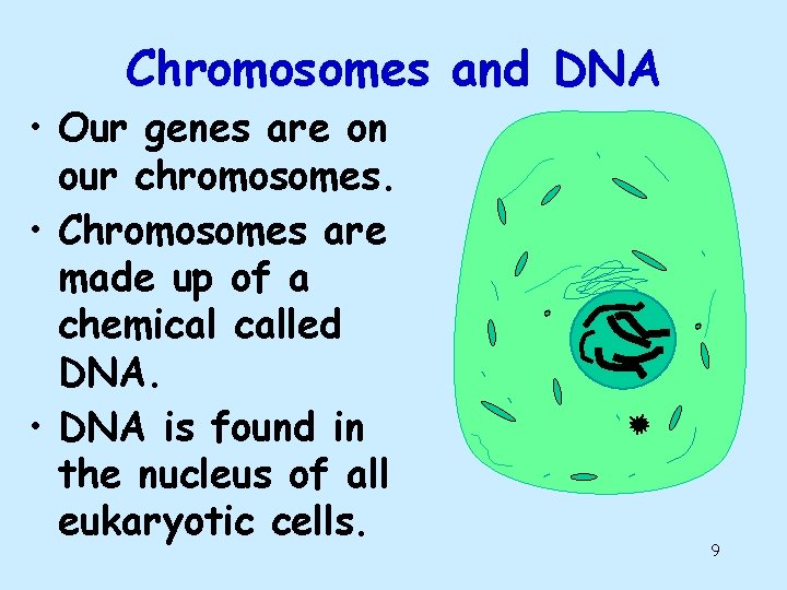 Chromosomes and DNA • Our genes are on our chromosomes. • Chromosomes are made Chromosomes and DNA • Our genes are on our chromosomes. • Chromosomes are made