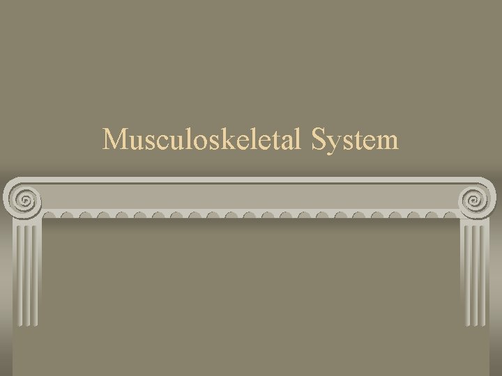 Musculoskeletal System 