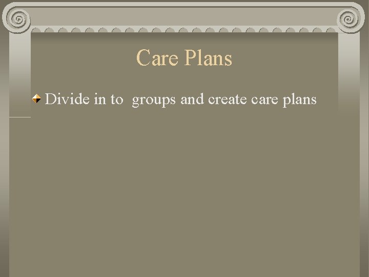 Care Plans Divide in to groups and create care plans 