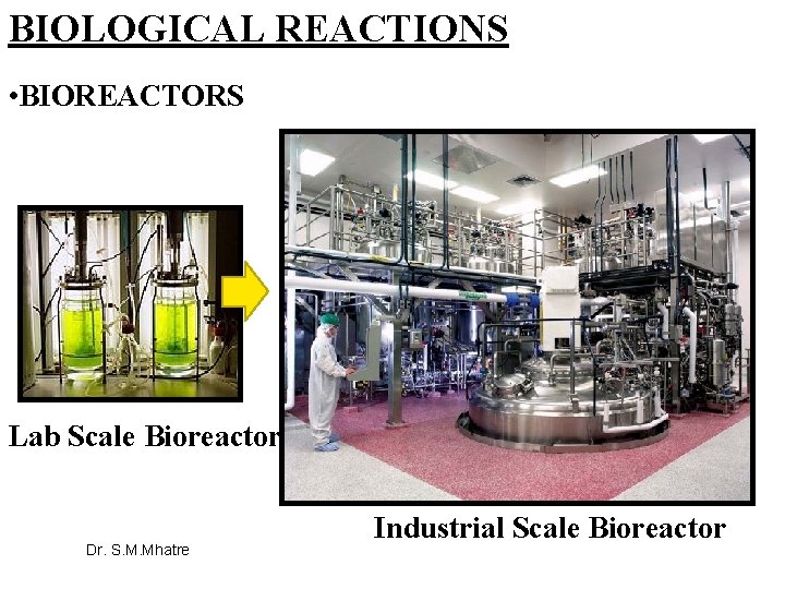 BIOLOGICAL REACTIONS • BIOREACTORS Lab Scale Bioreactor 13 Dr. S. M. Mhatre Industrial Scale
