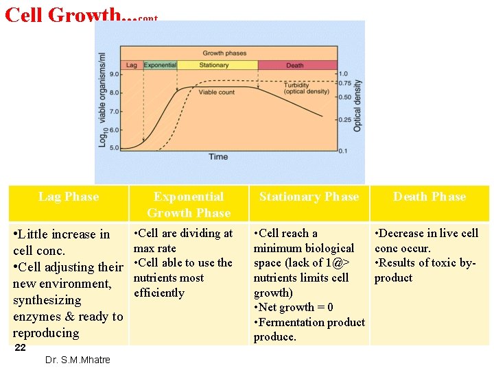 Cell Growth. . . cont. . . Lag Phase • Little increase in cell