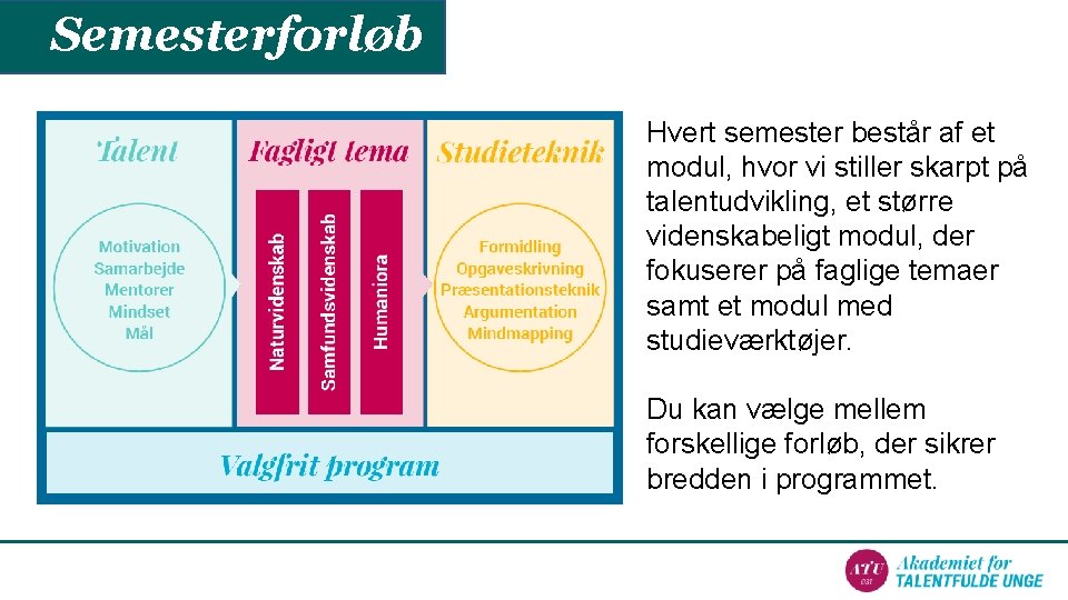 Semesterforløb Hvert semester består af et modul, hvor vi stiller skarpt på talentudvikling, et