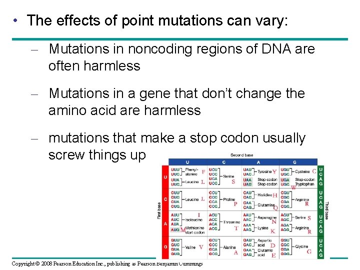  • The effects of point mutations can vary: – Mutations in noncoding regions