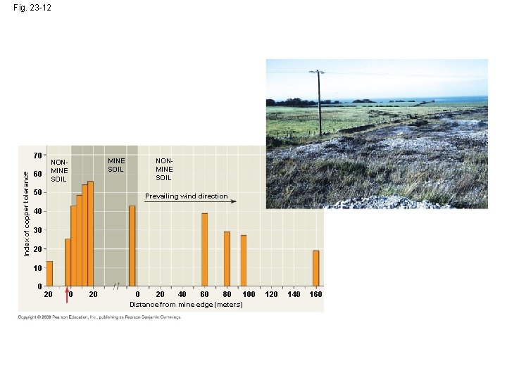 Fig. 23 -12 Index of copper tolerance 70 60 MINE SOIL NONMINE SOIL 50