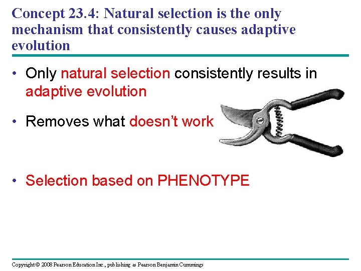 Concept 23. 4: Natural selection is the only mechanism that consistently causes adaptive evolution