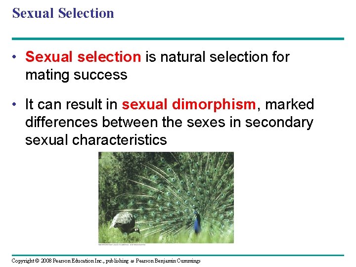 Sexual Selection • Sexual selection is natural selection for mating success • It can