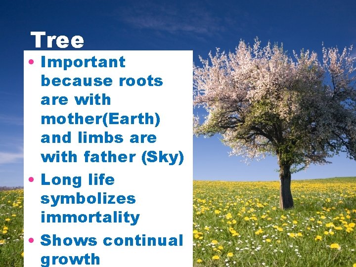 Tree • Important because roots are with mother(Earth) and limbs are with father (Sky) Tree • Important because roots are with mother(Earth) and limbs are with father (Sky)
