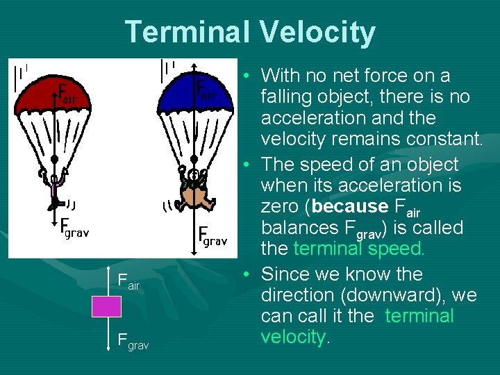 Terminal Velocity Fair Fgrav • With no net force on a falling object, there