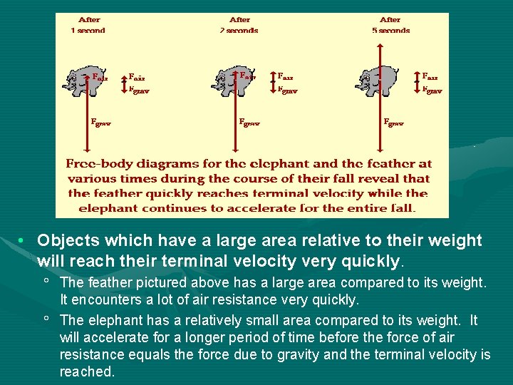  • Objects which have a large area relative to their weight will reach