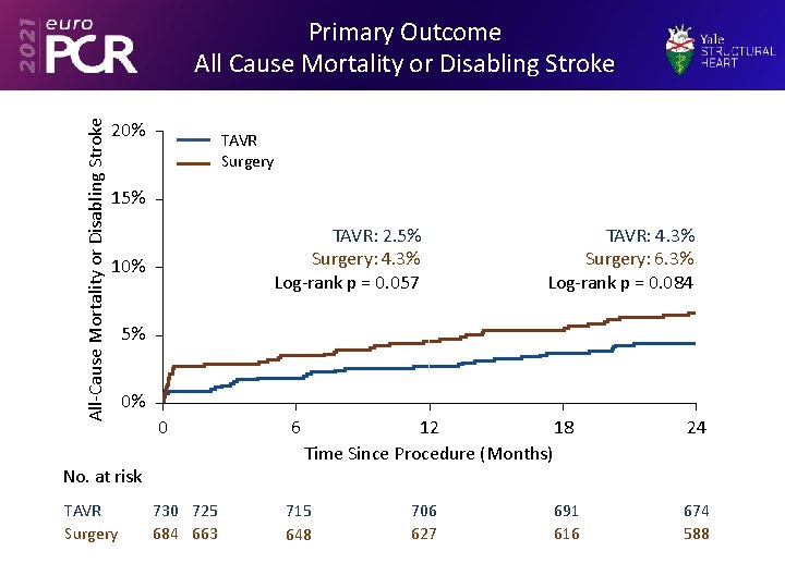 All-Cause Mortality or Disabling Stroke Primary Outcome All Cause Mortality or Disabling Stroke 20%