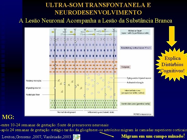 ULTRA-SOM TRANSFONTANELA E NEURODESENVOLVIMENTO A Lesão Neuronal Acompanha a Lesão da Substância Branca Explica