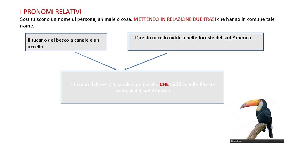 I PRONOMI RELATIVI Sostituiscono un nome di persona, animale o cosa, METTENDO IN RELAZIONE