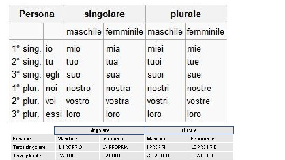 Plurale Singolare Persone Maschile femminile Maschile Femminile Terza singolare IL PROPRIO LA PROPRIA I