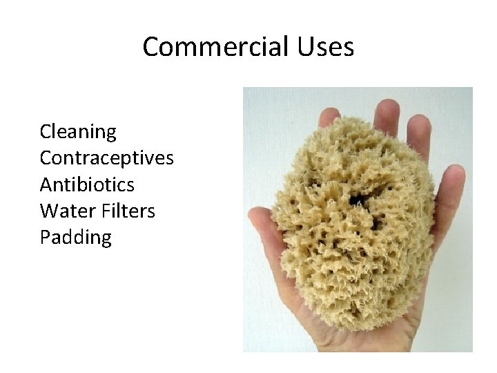 Commercial Uses Cleaning Contraceptives Antibiotics Water Filters Padding 